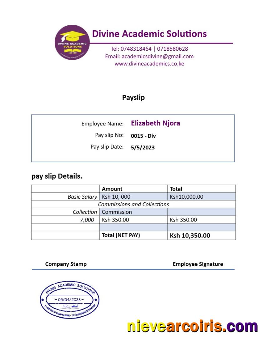 Divine Academic Solutions payslip